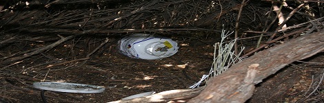 Greenleaf Crossing- trash(mod4)